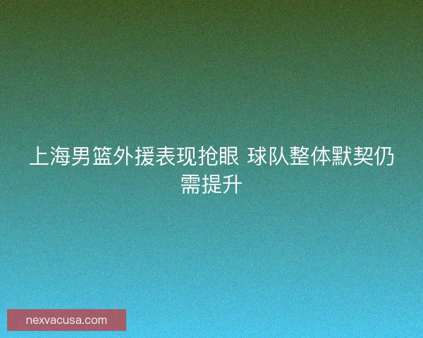 上海男篮外援表现抢眼 球队整体默契仍需提升